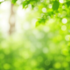 Obraz premium green leaves plant nature spring tree herb garden mint environment blurred background