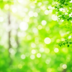 Obraz premium green leaves plant nature spring tree herb garden mint environment blurred background