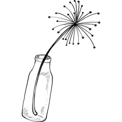 flower vase handdrawn illustration