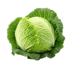 Cabbage photograph isolated on white background