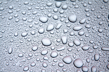 raindrops on the bonnet