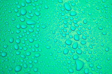 raindrops on the bonnet