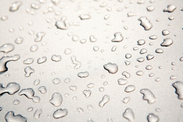 raindrops on the bonnet