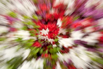 Wandcirkels tuinposter royal azalea blossoms © ccarax