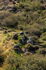 Fototapeta na wymiar Rocks with plants on a hillside