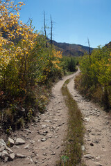 Winding four wheel drive road [Medano Pass primitive road] through the Sangre De Cristo range of the Rocky Mountains in Colorado United States