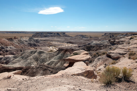Mesa, buttes, and canyon in the Petrified Forest National Park in Arizona United States