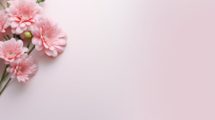 Pink flowers on isolated background
