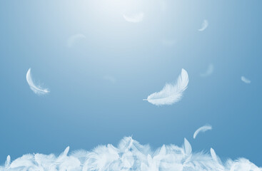 Abstract White Bird Feathers Falling on Floor. Softness of Floating Feathers in Blue Sky.