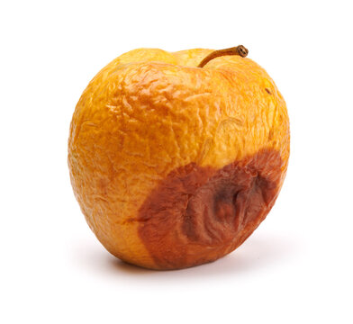 Rotten yellow apple isolated on white background. Spoiled apple.