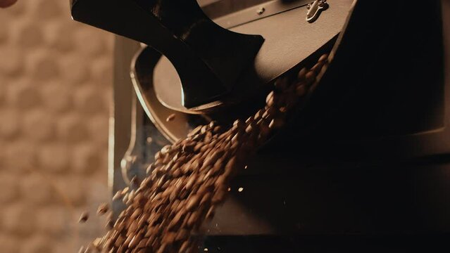 Close-up roasted coffee beans fall out of roasting machine. Hot freshly roasted coffee beans, steam comes from beans. Coffee industry. Side view