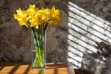 Bunch of Daffodils 