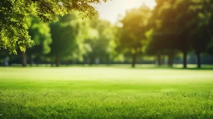 Photo sur Plexiglas Vert-citron Green lawn and trees background with copyspace. Nature background concept. Generative AI