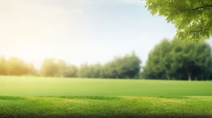 Green lawn and trees background with copyspace. Nature background concept. Generative AI © BoszyArtis