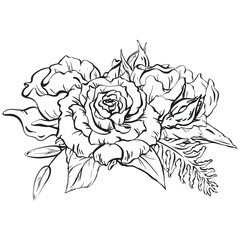 Ink: Floral composition featuring delicate open rose flowers, charming woodland herbs, and fern leaves. A stylish illustration suitable for cards coloring, prints posters and textile printing. EPS 10