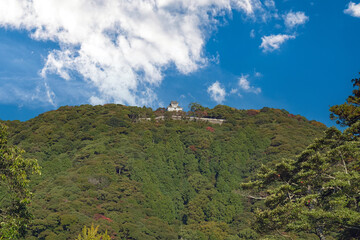 Fototapeta na wymiar 城山に聳える岩国城天守閣