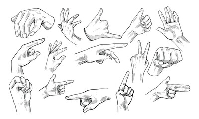 Fototapeta premium hand gesture handdrawn collection