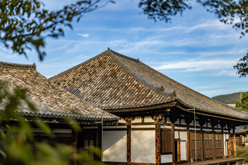 奈良元興寺の秋