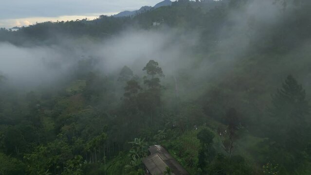 Establishing Aerial Drone Shot of Ella Hills Landscape on Misty Morning in Sri Lanka