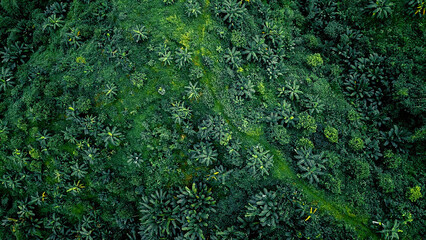 Hill of Bandarban in Bangladesh