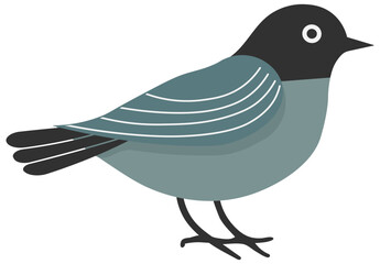 drawing of a colored bird without background