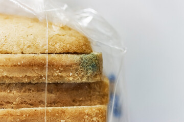 A package of sliced bread with mold or fungi