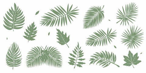 Fototapeta na wymiar set of palm and other leaves. vector illustration