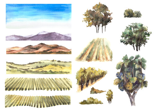 Watercolor landscape with grape fields, vineyards, bushes, trees, hills, sky and mountains. Constructor assemble yourself, winemaking template label Hand draw illustration isolated white background. 