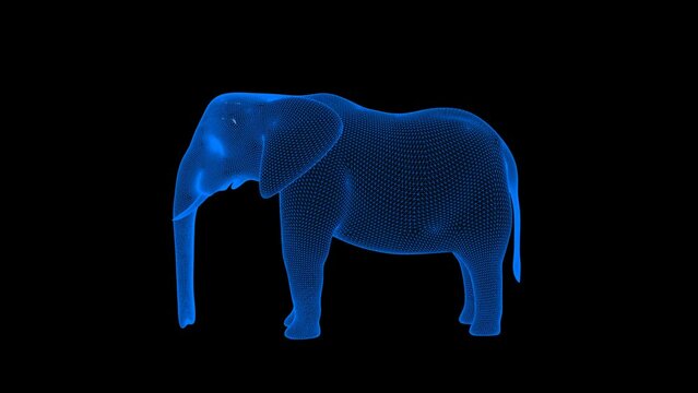 wireframe elephant, hologram elephant