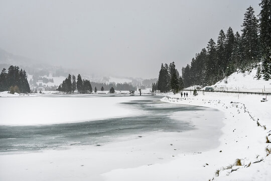 Lenzerheide, Valbella, Heidsee, Bergsee, Uferweg, Wanderweg, Winterwanderung, Langlauf, Loipe, Winterlandschaft, Seeufer, Alpen, Wald, Tannen, Eis, Winter, Graub&uuml;nden, Schweiz