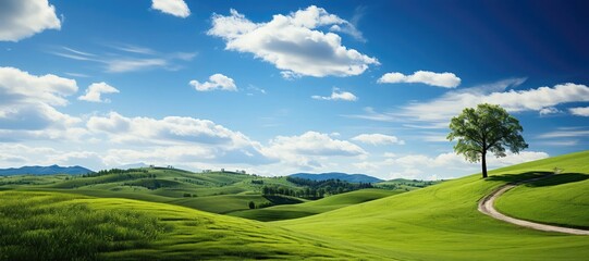 An abstract background image for creative content in a wide format, featuring a tree on a green hill against a blue sky with clouds, creating a serene composition. Photorealistic illustration
