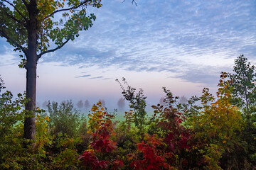 This image captures the essence of autumn with a range of vibrant colors displayed by the foliage under a textured morning sky. The mix of green, yellow, and red leaves tells the story of changing