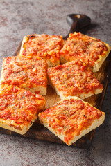 Sfincione Siciliano is a Sicilian style pizza topped with crispy bread crumbs, grated cheese and...
