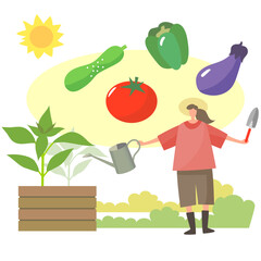 家庭菜園で野菜を育てる女性 - obrazy, fototapety, plakaty