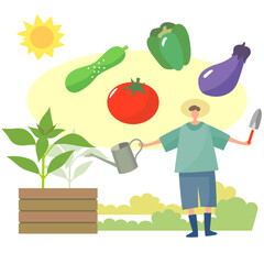 家庭菜園で野菜を育てる男性