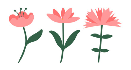 Set of pink flowers isolated on white background. Flat vector illustration.