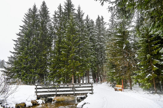 Lenzerheide, Valbella, Heidbach, Bach, Heidsee, Bergsee, Uferweg, Wanderweg, Winterwanderung, Holzbank, Langlauf, Winterlandschaft, Alpen, Wald, Tannen, Schneefall, Schnee, Winter, Graub&uuml;nden, Schweiz