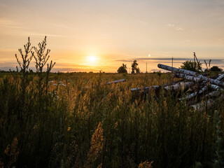 Sunset in a field in the village
