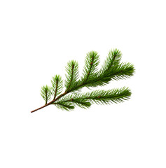 Fir tree twigs and leaves, transparent christmas tree on white background PNG.