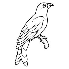 bird line vector illustration