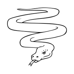 snake line vector illustration