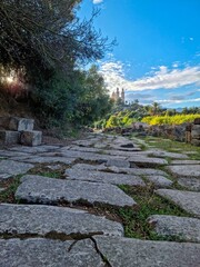 Panoramic view of the Roman archaeological site of Hippo, and the basilica of Saint-Augustin at the top of the hill in the background in Annaba