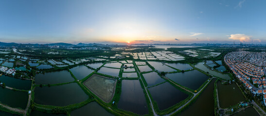 Tai Sang Wai Drought Fish Ponds.
