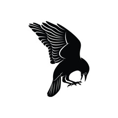 Raven bird silhouette vector ilustration design isolated