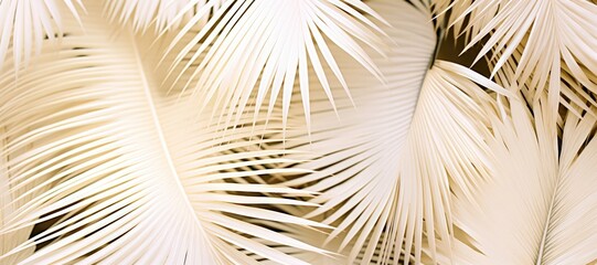 An abstract background image for creative content in a wide format, featuring the lush and tropical elegance of palm leaves, creating a versatile composition. Photorealistic illustration