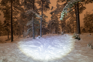 Illuminated Adventure: Forest Night Trail Glows with Snowy Splendor Under Flashlight Exploration.