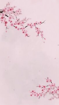 Pink sakura cherry blossom looping animation background