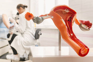 Medical examination in a gynecologist's chair, taking care of women's health. Silicone...