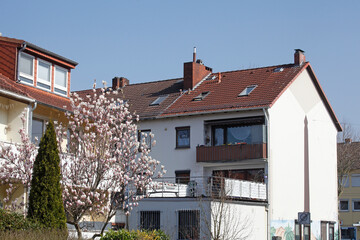 Wohngebäude im Frühling mit Magnolienblüte - obrazy, fototapety, plakaty