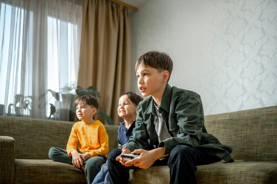 Brothers playing video game sitting on sofa at home